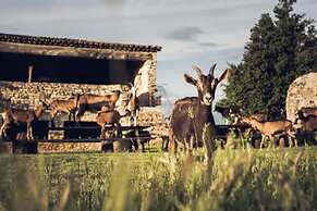 Le Domaine Du Castellas