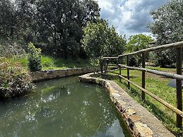 Oasis Des Corbières