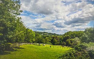 Beautiful 1-bed Secluded Cabin, With bar & Fire