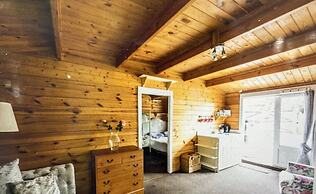 Beautiful 1-bed Secluded Cabin, With bar & Fire