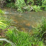 Quandong Valley Inn