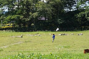 pekolela