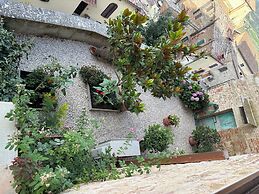 Il nido dell'Upupa