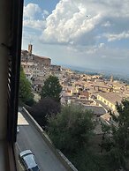 Il nido dell'Upupa