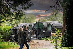 The Forest at Mount Congreve Gardens
