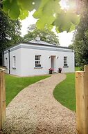 The Forest at Mount Congreve Gardens