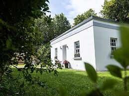 The Forest at Mount Congreve Gardens