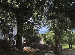Holiday Home Brsec