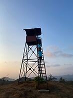 Coorg Tree House