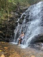 Coorg Tree House