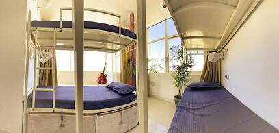 Mild Life Hostel Udaipur