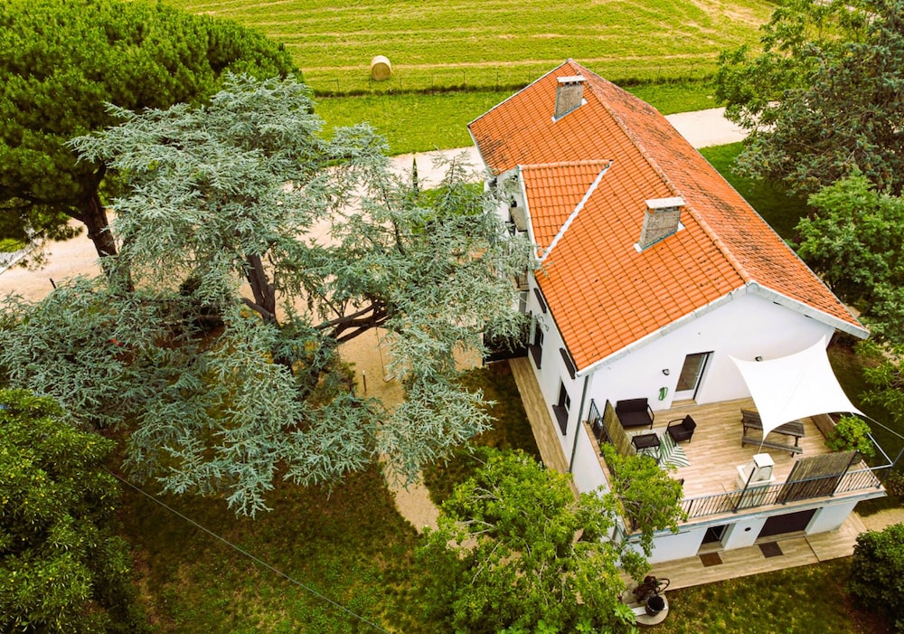 Le Duo Syrah & Loin de l oeil