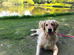 Golden Fleece