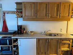 Cozy ans Spacious Apartment With Scenic Views