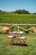 Tenuta Cà Bassa