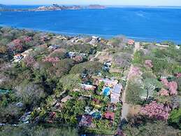 Parti Gras Hotel & Villas en Potrero