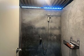 Noah’s Ark Cannabis Bar Restaurant Hostel