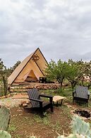 Hotel coyote