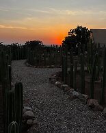 Hotel coyote