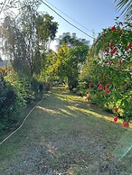 Jungle Side Luxury Hotel
