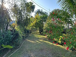 Jungle Side Luxury Hotel