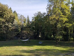 PianPieve Nature and Relax apartments