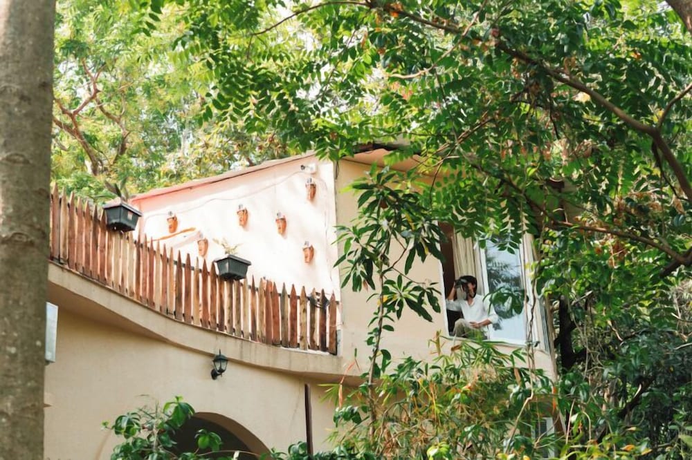 Jungle Ghar