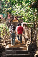 Jungle Ghar