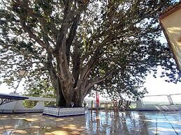Complete, Spacious House, With Pool and Surrounded by Nature