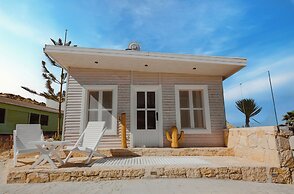 New Spirit Dakhla