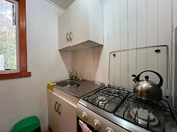 Oceana Suites Rayen Lican-Ray