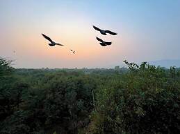 Joy Bagh Resort