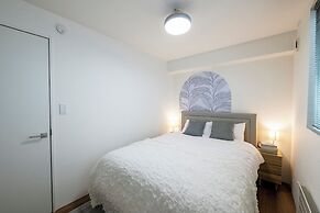 NAKAJIMA NOUVEAU