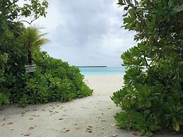 Dhiffushi Tourist Hotel