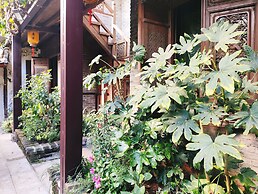 Big Tree Guesthouse