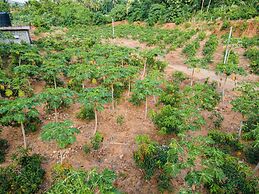 Mango Tree Retreat