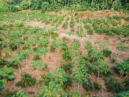 Mango Tree Retreat
