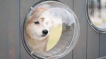 DOG HOTEL SHIRAHAMA