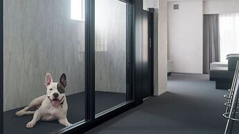 DOG HOTEL SHIRAHAMA