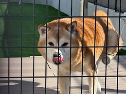 DOG HOTEL SHIRAHAMA