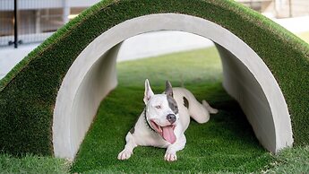 DOG HOTEL SHIRAHAMA