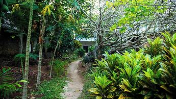 Cosy beach villa