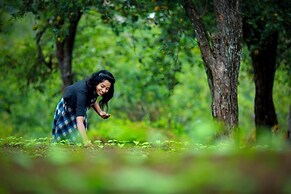 The Pear County