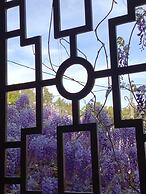Hotel Iris