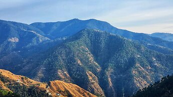 Royal Cedar Shimla
