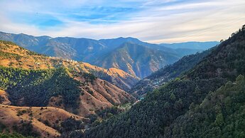 Royal Cedar Shimla