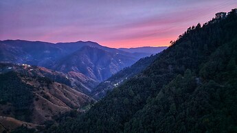 Royal Cedar Shimla