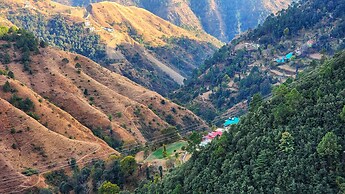 Royal Cedar Shimla