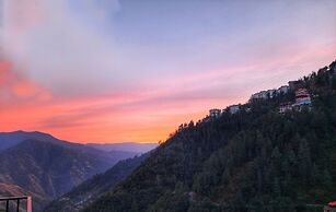 Royal Cedar Shimla