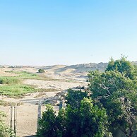 Tut & Pyramids View